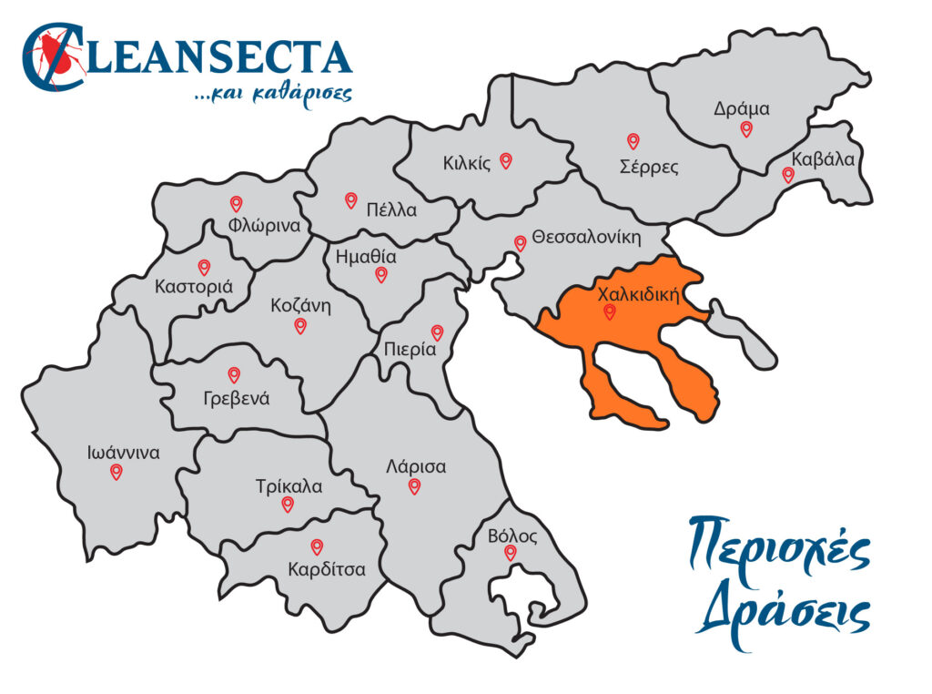 Απεντομώσεις, μυοκτονίες & απολυμάνσεις στη Χαλκιδική