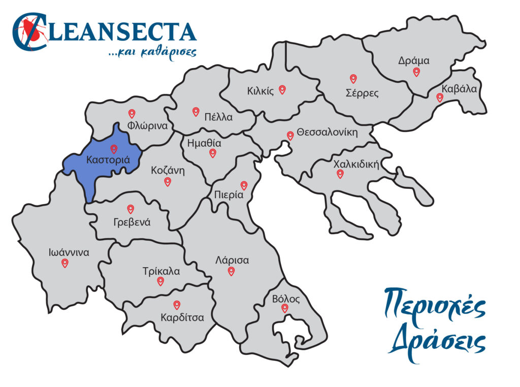 Απεντομώσεις, μυοκτονίες & απολυμάνσεις στην Καστοριά